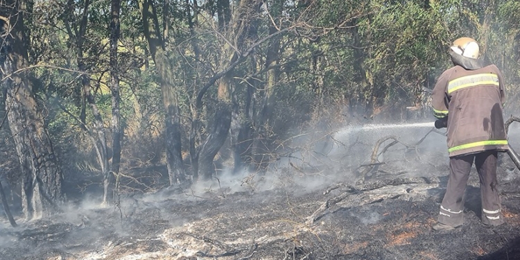 За прошедшие сутки на Николаевщине потушили 5 пожаров сухостоя и пожнивных остатков (ФОТО)
