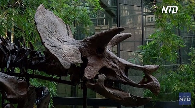 Даже они болели: на останках динозавра впервые обнаружили раковую опухоль (ВИДЕО)