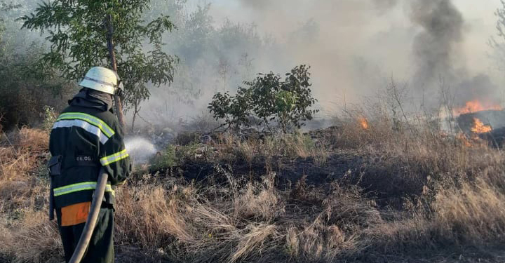 На Николаевщине за сутки выгорело более 2 га открытых территорий (ФОТО)