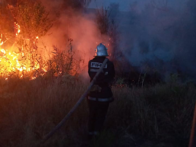 На Николаевщине за сутки выгорело более 23 га открытых территорий (ФОТО) 1