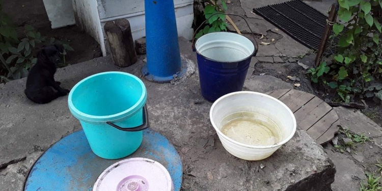 В Первомайске мужчина утопил кошку с двумя котятами: ему сообщено о подозрении по статье о жестоком обращении с животными (ФОТО)