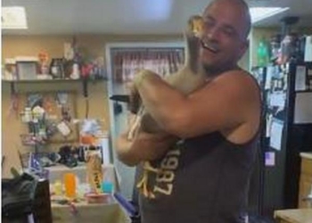 Не только собаки умеют радоваться возвращению хозяина – гуси тоже! И это не менее трогательно (ВИДЕО)