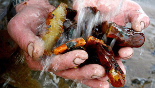 В Житомирской области с аукциона продадут 23 участка на добычу янтаря