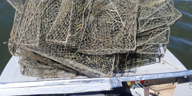 Николаевский рыбоохранный патруль выявил 3 браконьеров и изъял более 300 раколовок (ФОТО)