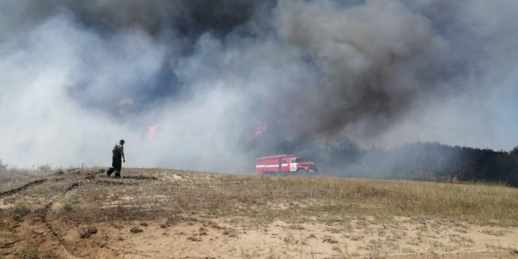 Под Николаевом горит сухая трава – пожар рисковал перекинуться на дачи и Галициновское урочище (ФОТО)