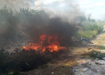 В Николаеве остановили пожар сухой травы  на подходе к АЗС (ФОТО)