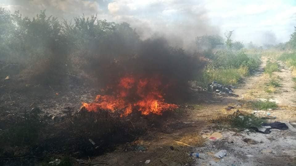 В Николаеве остановили пожар сухой травы на подходе к АЗС (ФОТО) 7