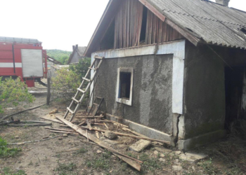 Пожарные Николаевщины спасли от полного выгорания два жилых дома и ряд хозпостроек (ФОТО)