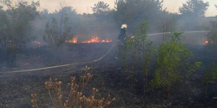 За сутки спасатели 16 раз тушили пожаров на открытых территориях Николаевщины (ФОТО)