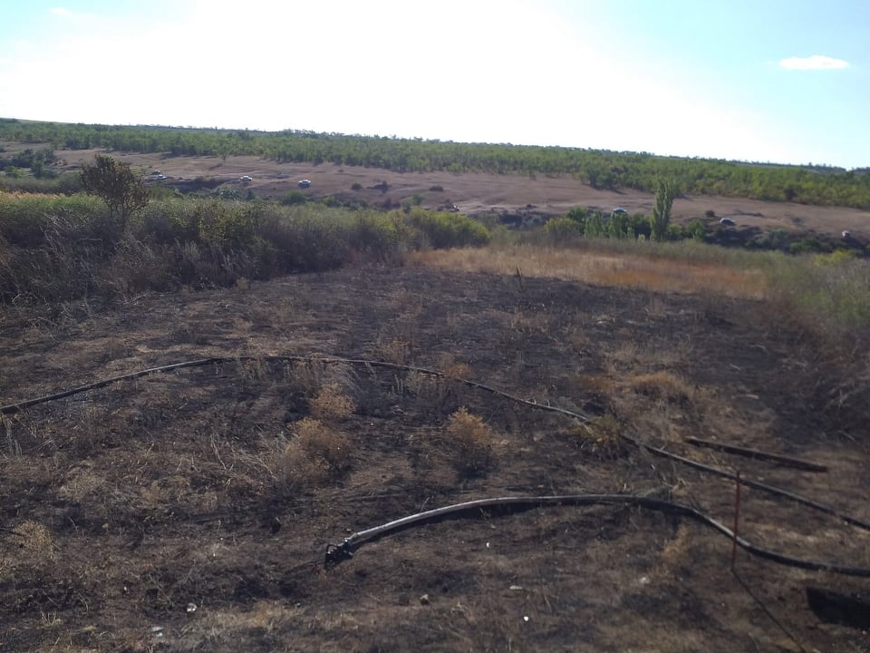 Спасатели Николаевщины потушили 16 пожаров в экосистемах за сутки (ФОТО) 5
