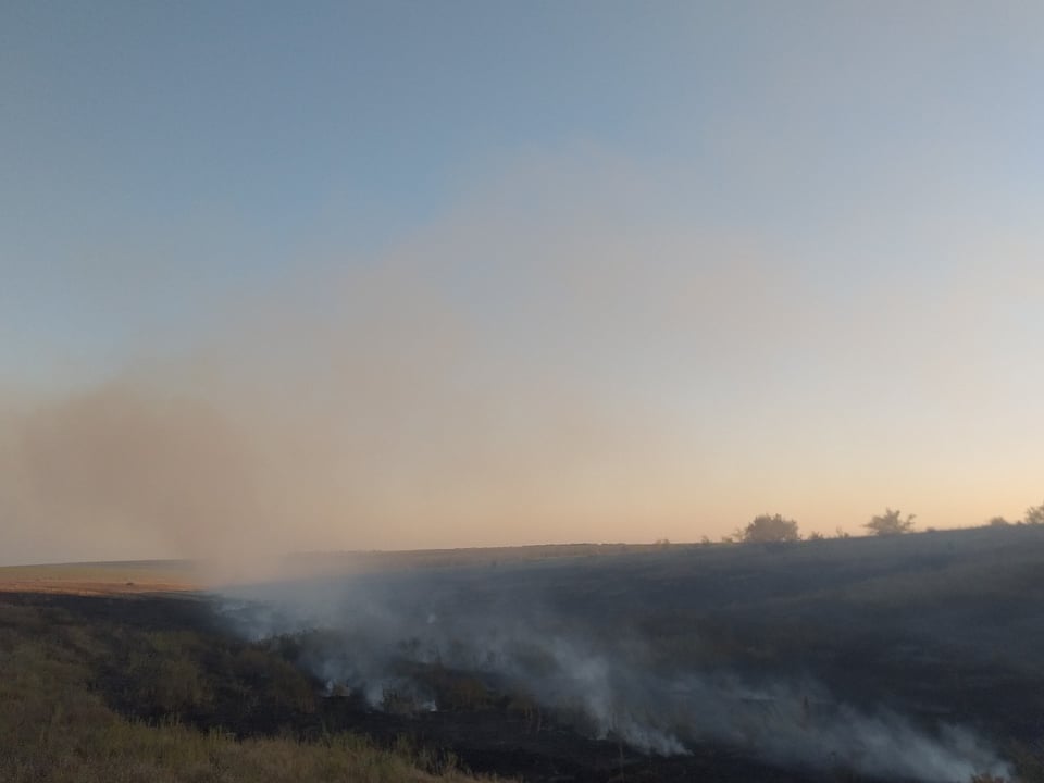 Спасатели Николаевщины потушили 16 пожаров в экосистемах за сутки (ФОТО) 3
