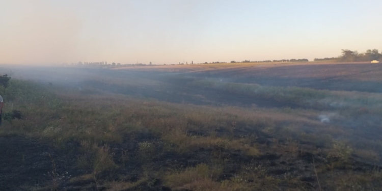 Спасатели Николаевщины потушили 16 пожаров в экосистемах за сутки (ФОТО)