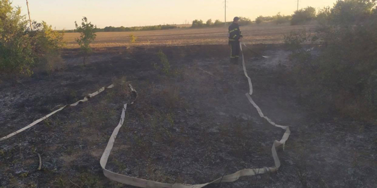 На Николаевщине за сутки произошло 22 пожара на открытых территориях