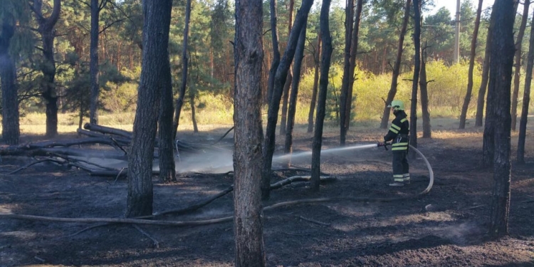 Из-за поджога снова полыхала хвойная подстилка в Балабановском лесу (ФОТО)