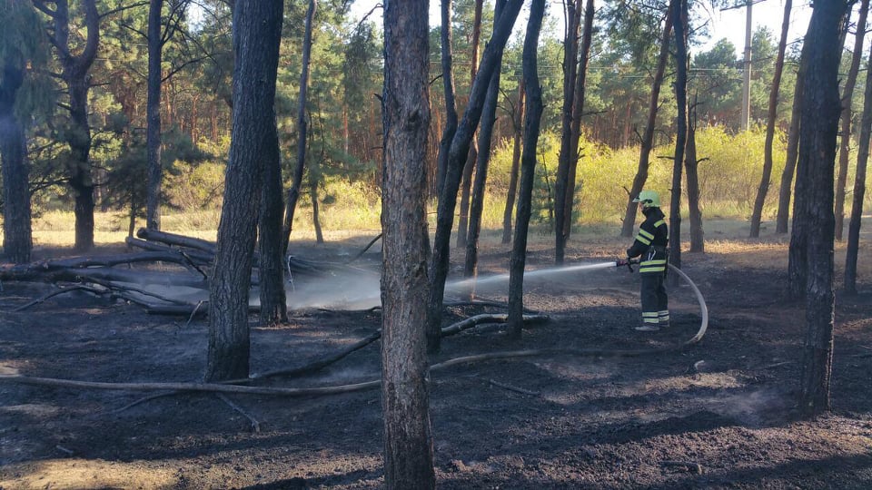 На Николаевщине за сутки возникло 16 пожаров в экосистемах 1
