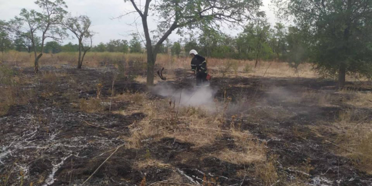 На Николаевщине ликвидировали пожар насаждений молодой акации (ФОТО)