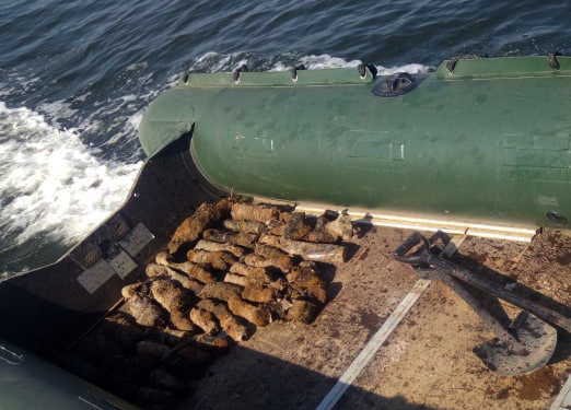 На Николаевщине благодаря мужчине пиротехники обнаружили почти полсотни снарядов (ФОТО)