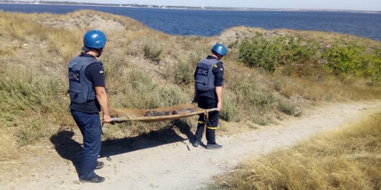 Спасатели Николаевщины за сутки потушили 8 пожаров на открытой территории и обезвредили 4 снаряда, которые нашел директор заповедника (ФОТО)