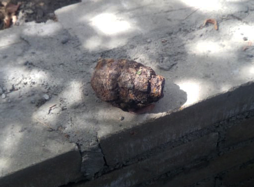 Пиротехники уничтожили гранату Ф-1, которую нашли возле офисного здания в Вознесенске