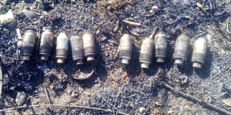 В Терновке мужчина нашел 10 современных подствольных гранат, а в Березнеговатском районе фермер наткнулся на авиабомбу (ФОТО)