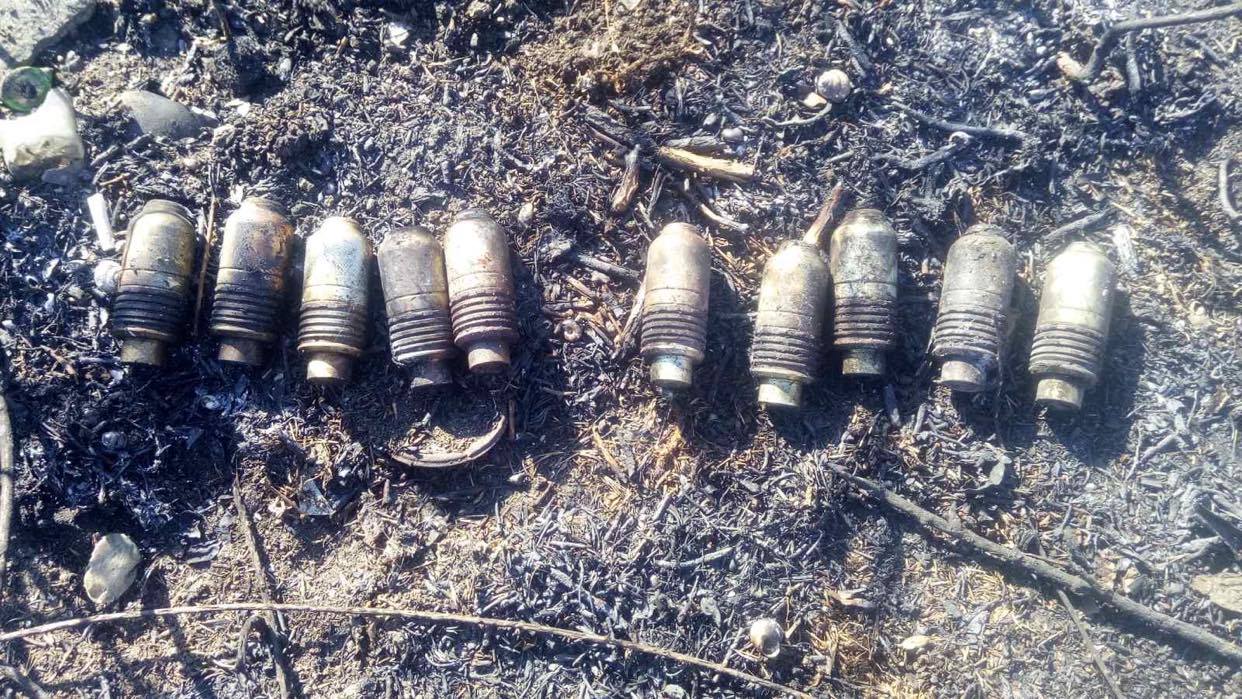 В Терновке мужчина нашел 10 современных подствольных гранат, а в Березнеговатском районе фермер наткнулся на авиабомбу (ФОТО)