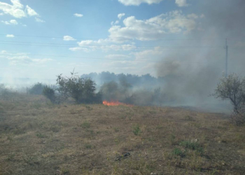 Пожарные потушили хвойную подстилку в урочище на Николаевщине