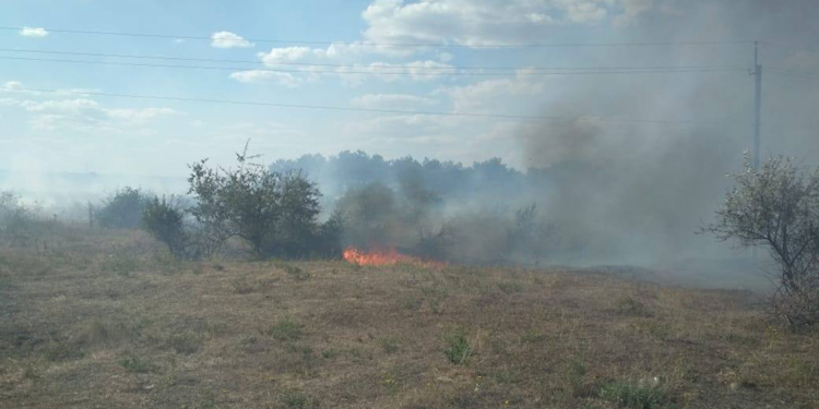 Пожарные потушили хвойную подстилку в урочище на Николаевщине