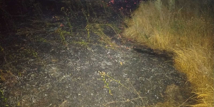 На Николаевщине за сутки выгорело более 26 га открытых территорий (ФОТО)