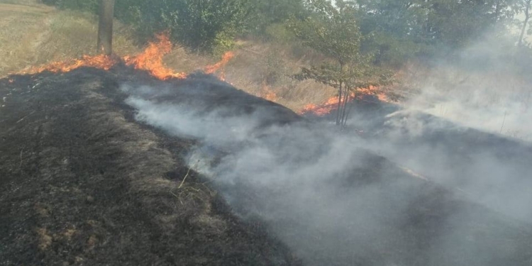 На Николаевщине за сутки выгорело почти 17 га открытых территорий (ФОТО)