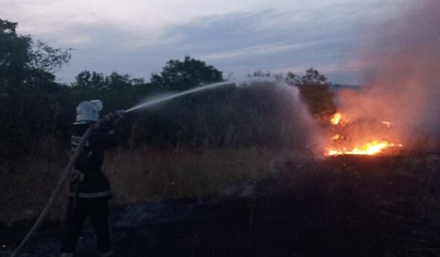 На Николаевщине за сутки выгорело более 23 га открытых территорий (ФОТО)