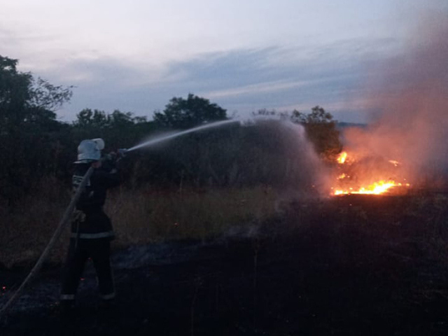 На Николаевщине за сутки выгорело более 23 га открытых территорий (ФОТО) 3