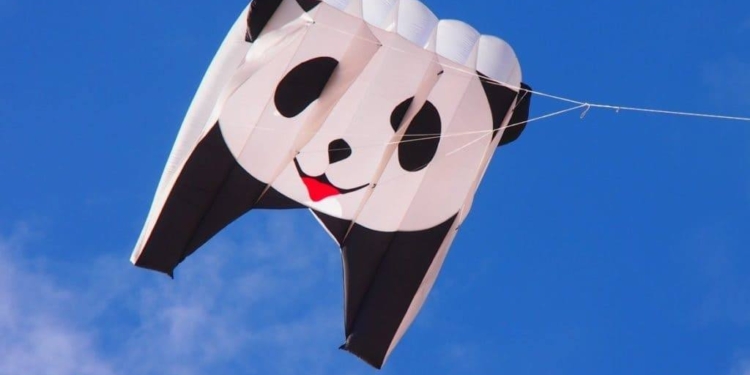 На Николаевщине завершился этап чемпионата Украины по кайт-флаингу 2020 (ФОТО)