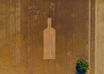 Джин? Под Киевом на поле появилась фигура гигантской бутылки (ФОТО)