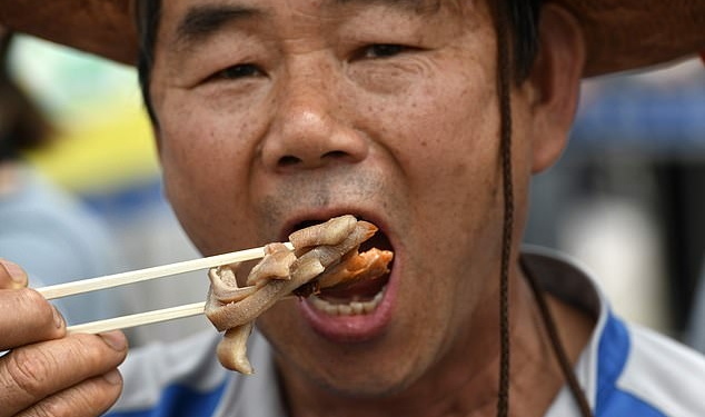 Ким Чен Ын приказал изъять домашних собак в Пхеньяне. Корейцы боятся, что животных съедят