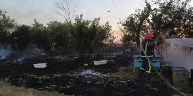 На Николаевщине выгорело 13 га открытых территорий. Вместо с 93 уликами и прицепом для их транспортировки (ФОТО)