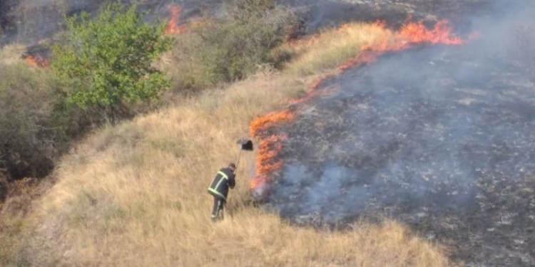 В Николаевской области тушат пожар площадью 23 га (ФОТО, ОБНОВЛЕНО)