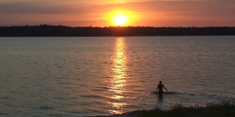 Жители Намыва сняли, как спецтехника сливает фекалии в Бугский лиман (ВИДЕО)