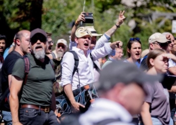Во время “антикарантинного” митинга в Берлине пострадали 18 полицейских (ФОТО)