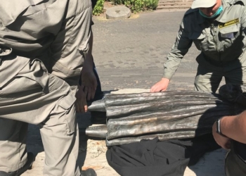 Вандалы пытались разрушить скульптуру в музее Голодомора в Киеве