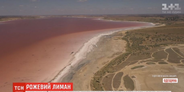 Куяльницкий лиман под Одессой стал розовым (ВИДЕО)