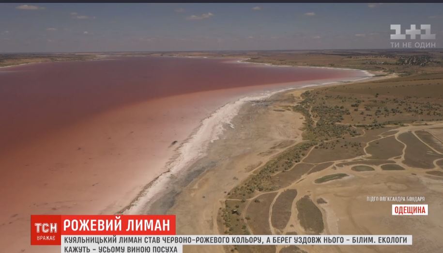 Куяльницкий лиман под Одессой стал розовым (ВИДЕО) 1