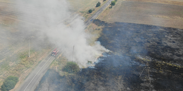 За сутки на Николаевщине выгорело более 15 га сухостоя – спасатели задержали одного из поджигателей (ФОТО, ВИДЕО)