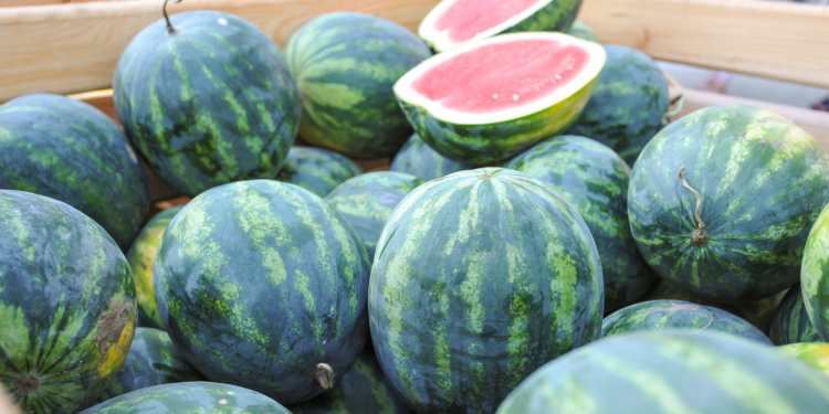 Сегодня “НИБУЛОН” в очередной раз отправляет из Херсона в Киев судно с арбузами (ФОТО)