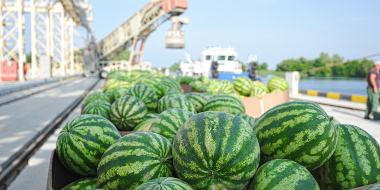 Сегодня “НИБУЛОН” в очередной раз отправляет из Херсона в Киев судно с арбузами (ФОТО)