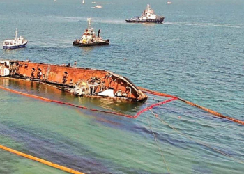 В Одесском морпорту рассказали, когда Delfi уберут с побережья Одессы (ВИДЕО)