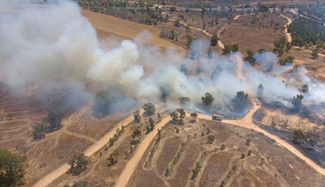 Израиль ударил по объектам ХАМАС в секторе Газа в ответ на запуск шаров со взрывчаткой