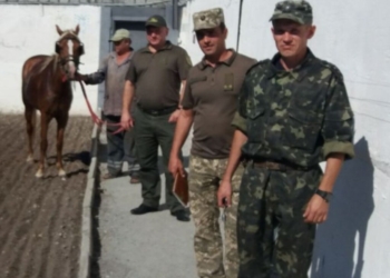 В запорожской колонии используют коня для поиска подкопов