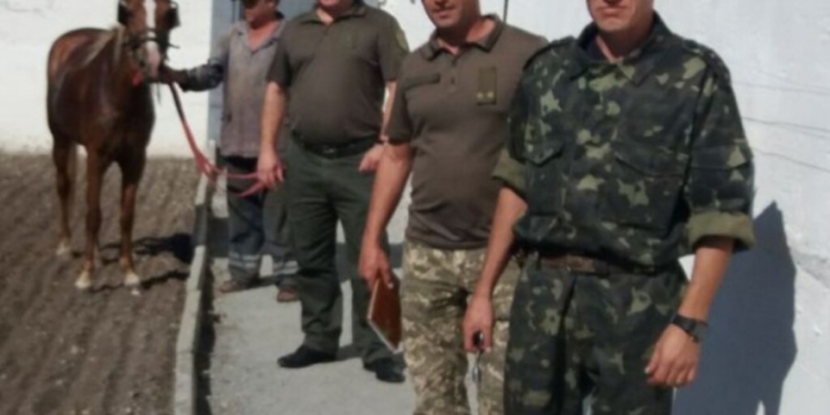В запорожской колонии используют коня для поиска подкопов