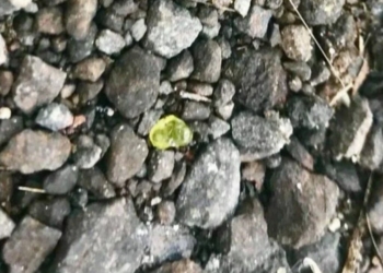 На Гавайях вулкан “плюется” самоцветами (ФОТО)