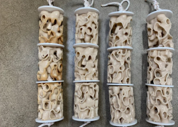 Кораллы начали печатать на 3D-принтере ради спасения рифов